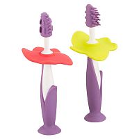 Набор зубных щеток-массажеров для малышей Flower Roxy Kids RTB-004